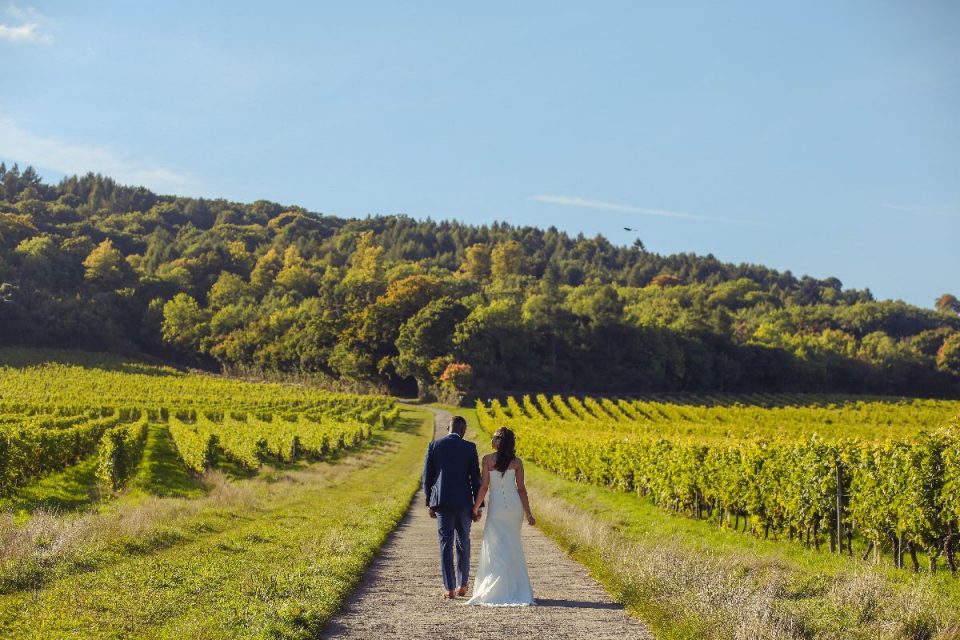 Denbies Wine Estate, Surrey.
