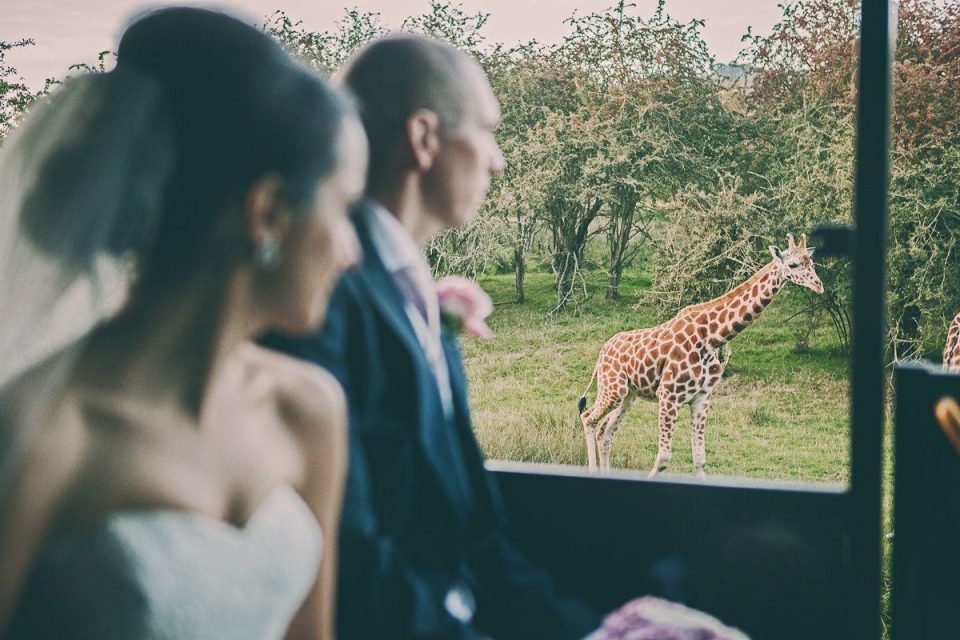 Port Lympne Hotel and Reserve, Kent.