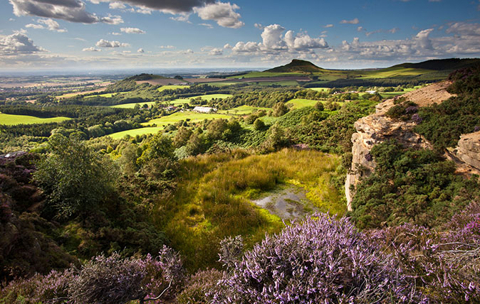 The purple touches of the North York Moors.