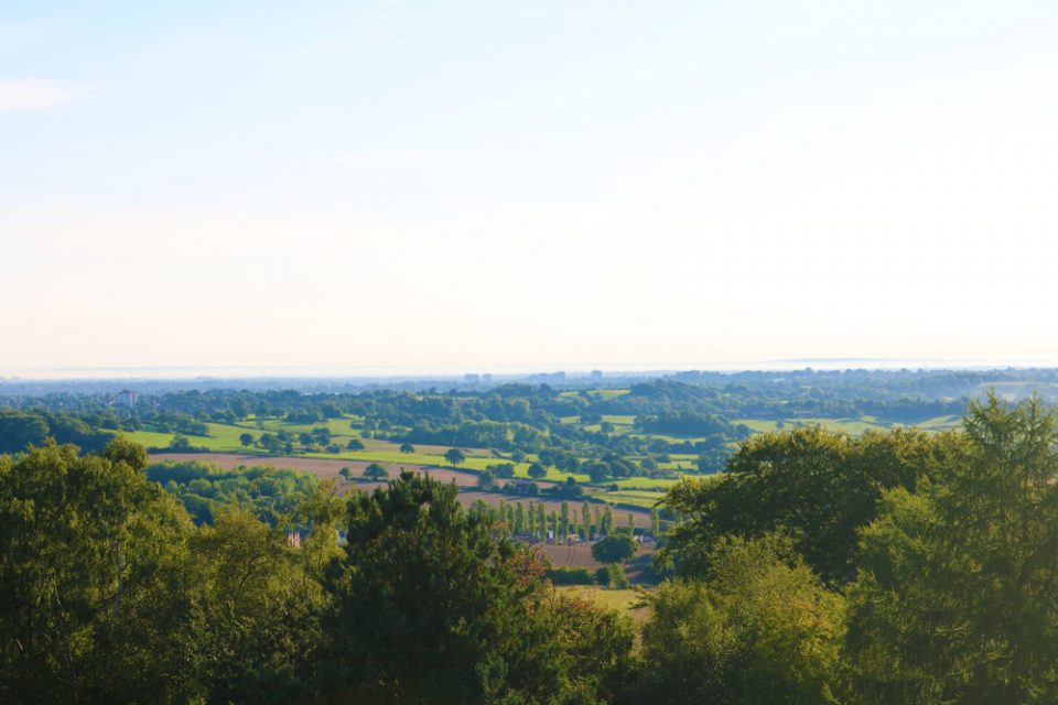 Enjoy views like this at Beacon Hill in Lickey Hills Country Park.