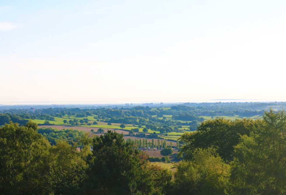 Enjoy views like this at Beacon Hill in Lickey Hills Country Park.