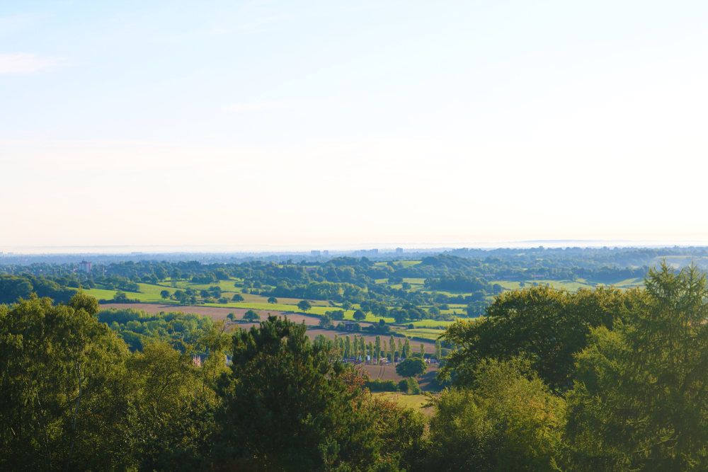 Enjoy views like this at Beacon Hill in Lickey Hills Country Park.