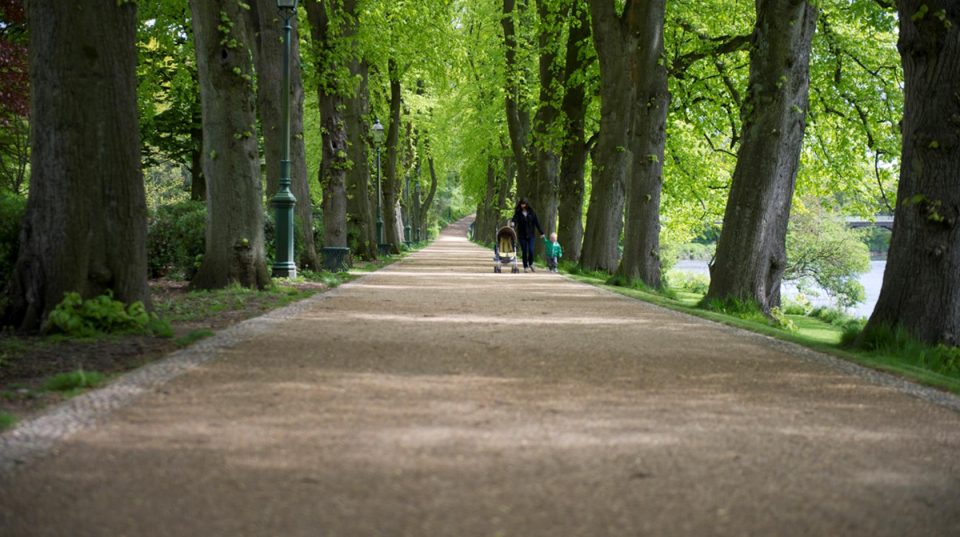 A shot taken in Avenham and Miller Parks.