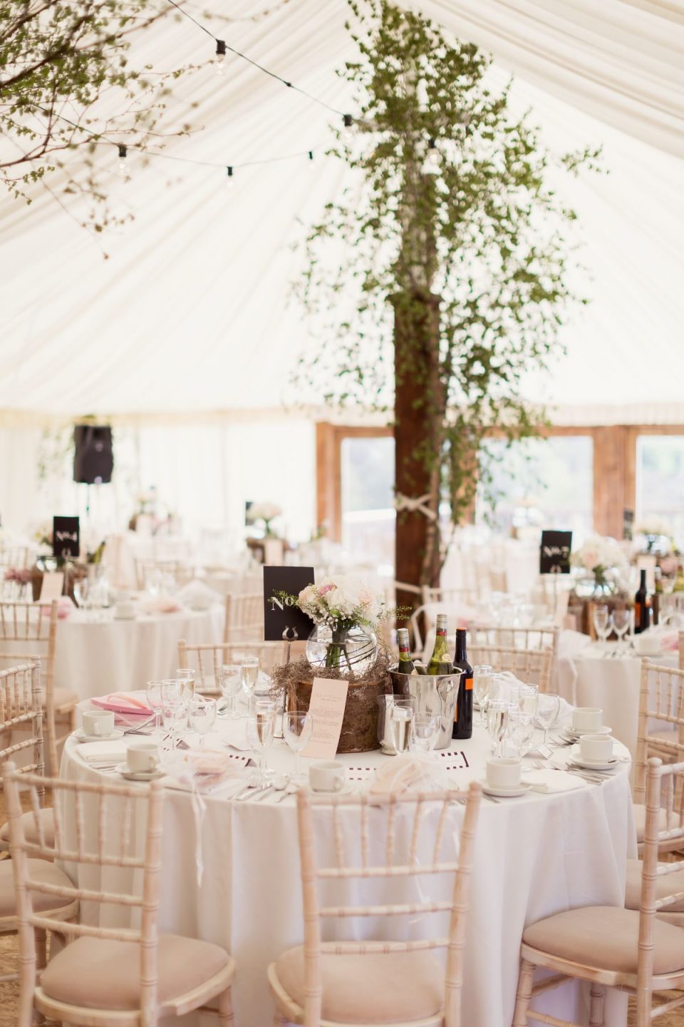 The couple opted for a marquee reception!