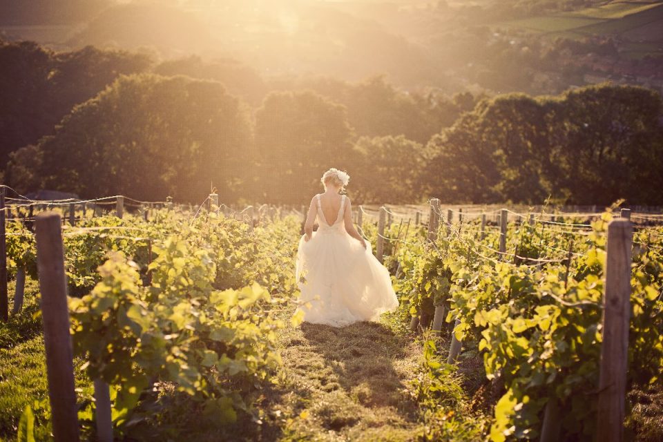 Who'd have thought you could run through a vineyard in Huddersfield for your wedding day!